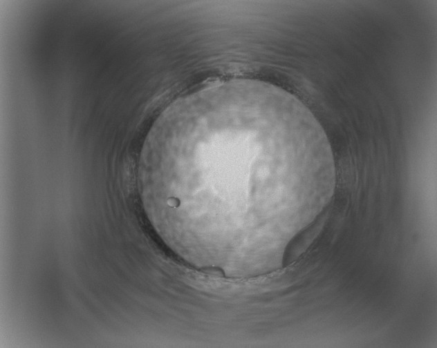 X0000056360043200509232143