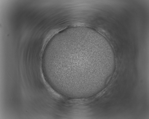 X0000056360049200509232142