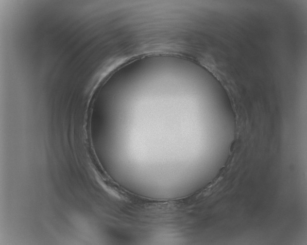 X0000056360050200509232142