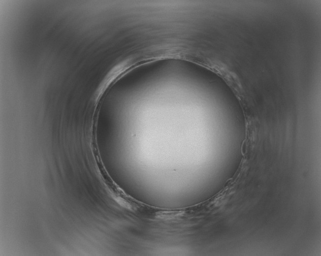 X0000056360051200509232142