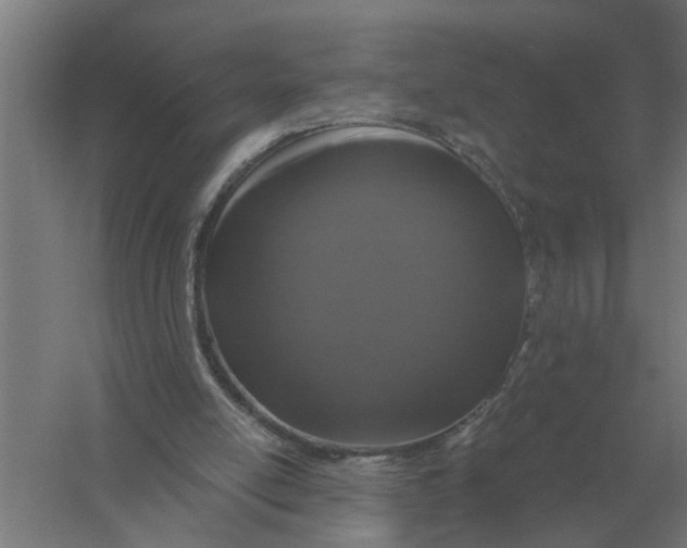 X0000056360054200509232142
