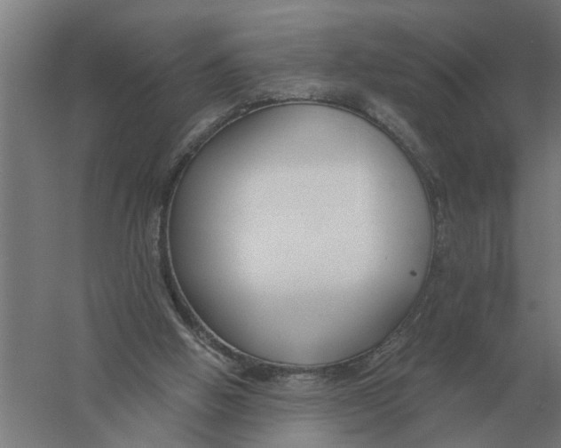X0000056360058200509232142