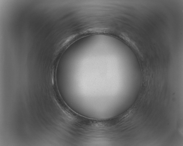 X0000056360062200509232142