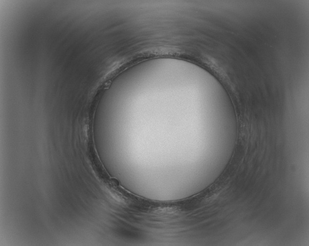 X0000056360063200509232142