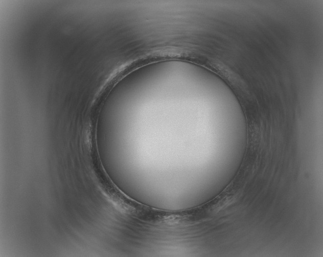 X0000056360064200509232142