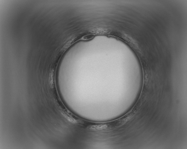 X0000056360065200509232142