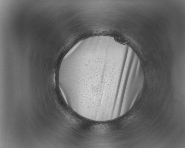 X0000056360067200509232142