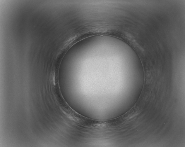 X0000056360068200509232142