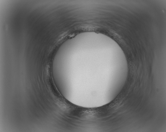 X0000056360071200509232142
