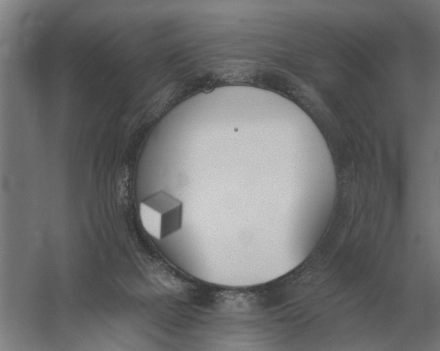 X0000056360073200509232142
