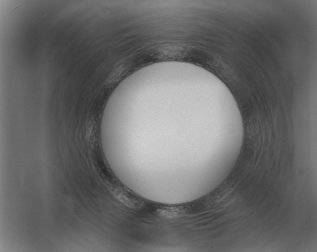 X0000056360079200509232143