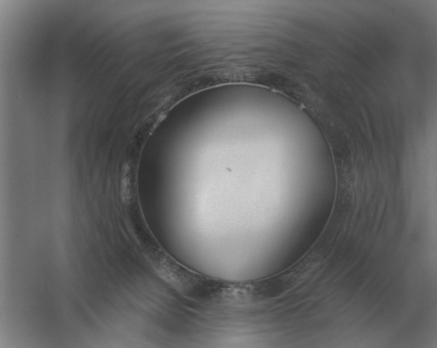 X0000056360080200509232143