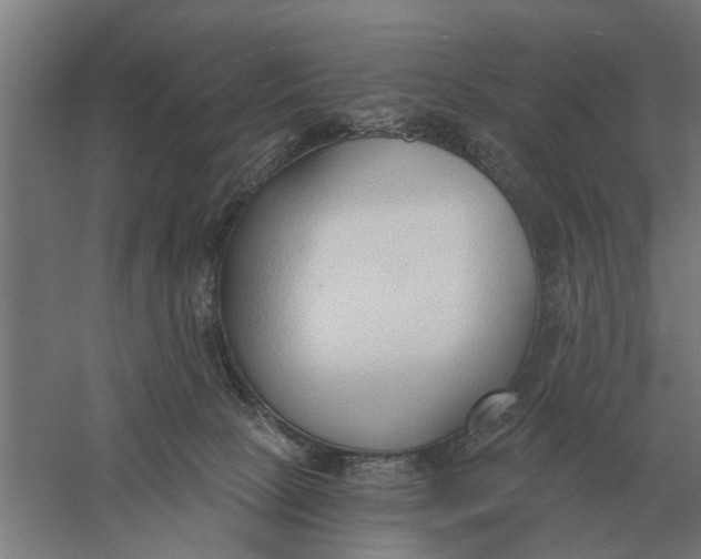 X0000056360081200509232143