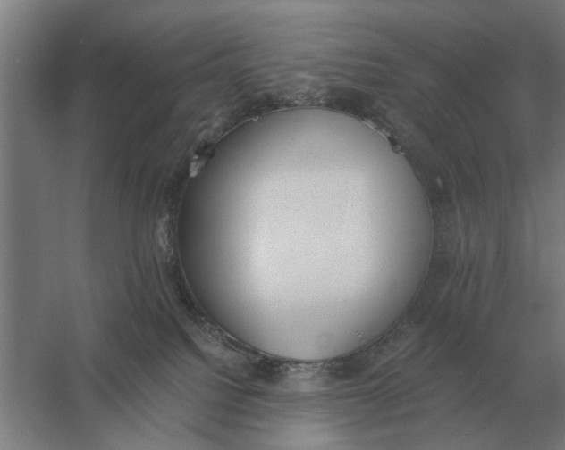 X0000056360088200509232143