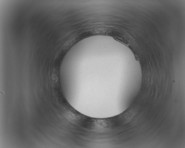 X0000056360091200509232143