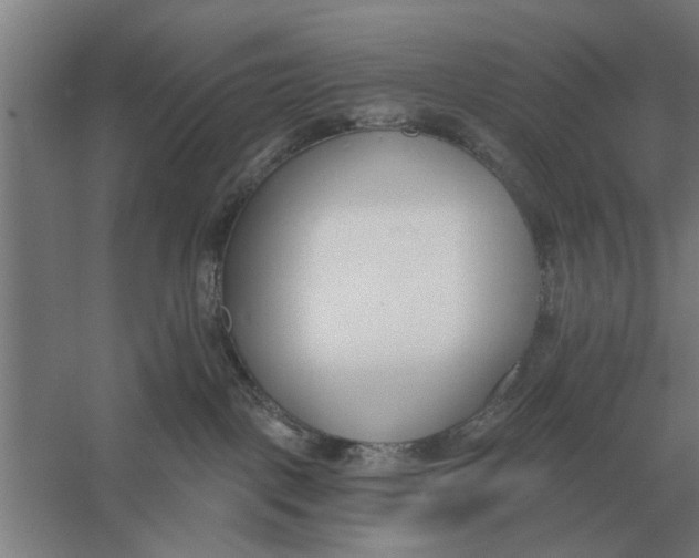 X0000056360093200509232143