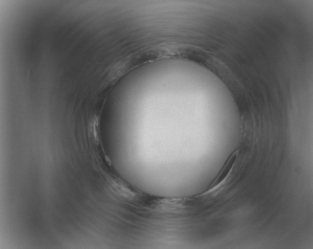 X0000056360094200509232143