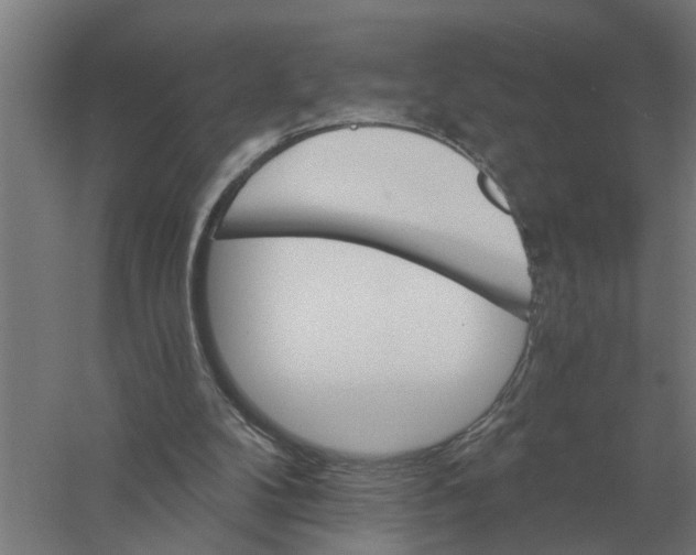 X0000056360104200509232142