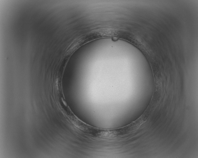 X0000056360117200509232142