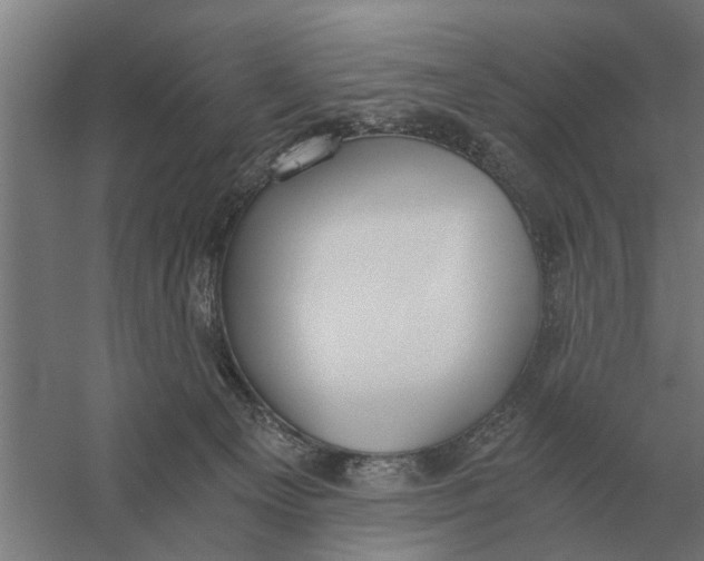 X0000056360129200509232141