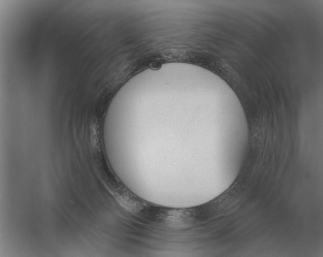 X0000056360130200509232141