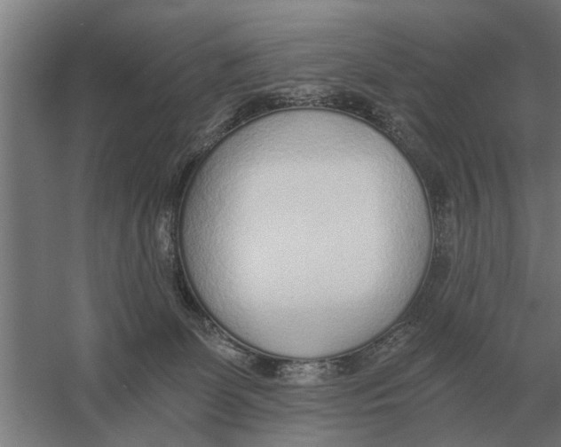 X0000056360131200509232141