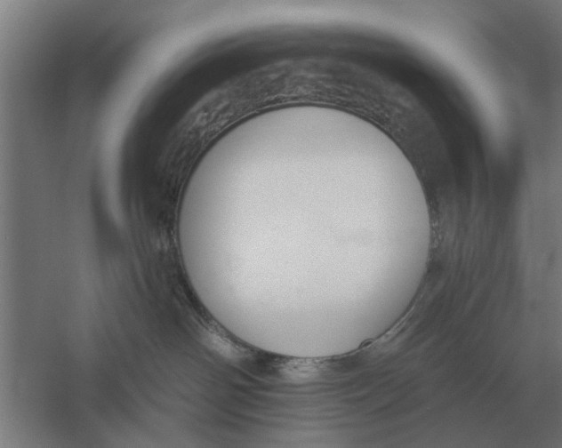 X0000056360142200509232141