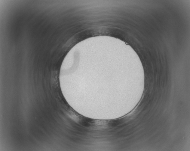 X0000056360144200509232141