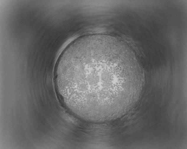 X0000056360147200509232140