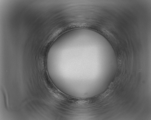 X0000056360158200509232141
