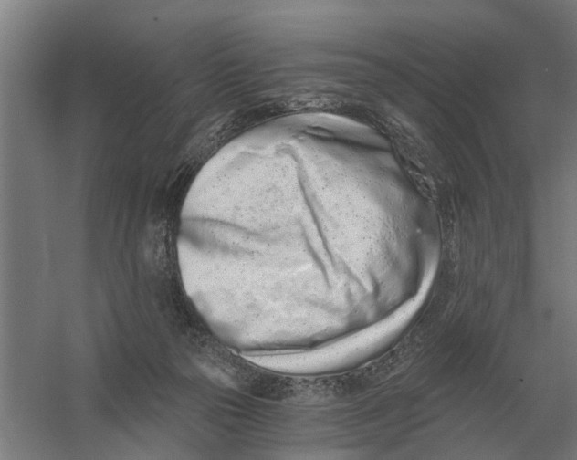 X0000056360169200509232141
