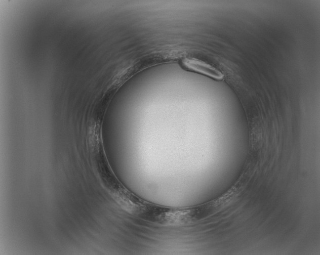 X0000056360172200509232141