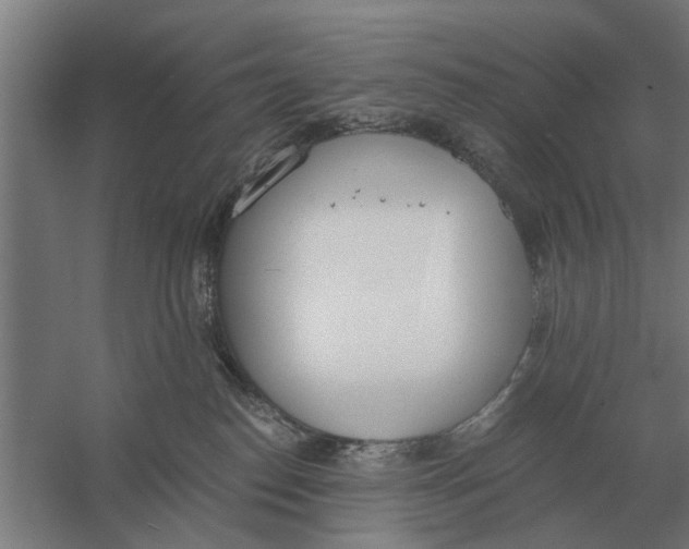 X0000056360186200509232141