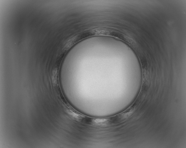X0000056360189200509232141