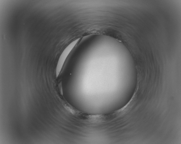 X0000056360192200509232141