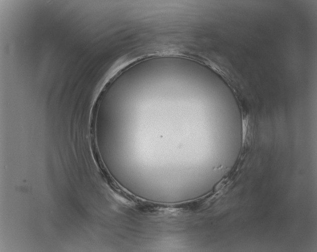 X0000056360195200509232140