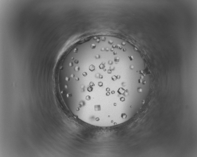 X0000056360198200509232140