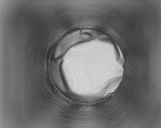 X0000056360202200509232140