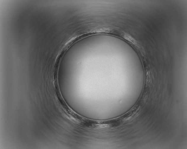 X0000056360203200509232140