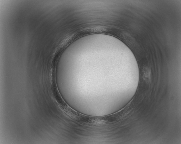 X0000056360206200509232140