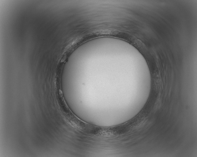 X0000056360207200509232140