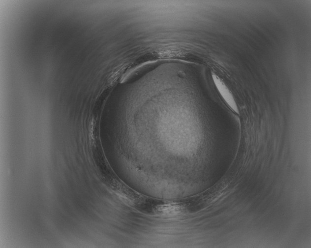 X0000056360219200509232140