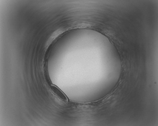X0000056360242200509232139