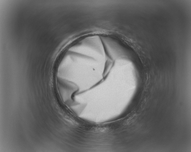 X0000056360247200509232139