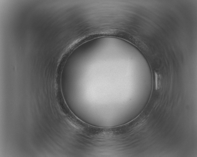 X0000056360252200509232139