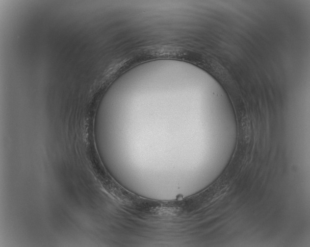 X0000056360255200509232139
