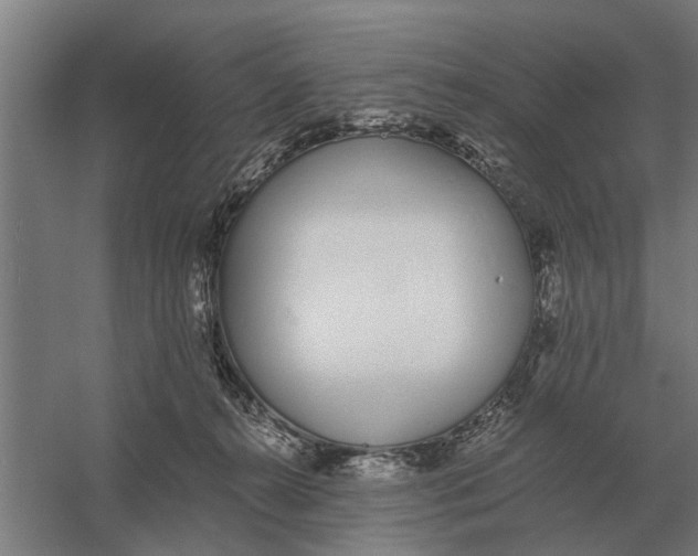 X0000056360272200509232139