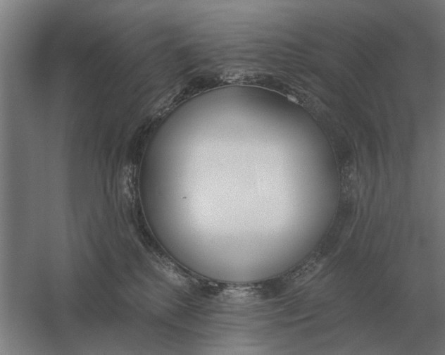 X0000056360280200509232139