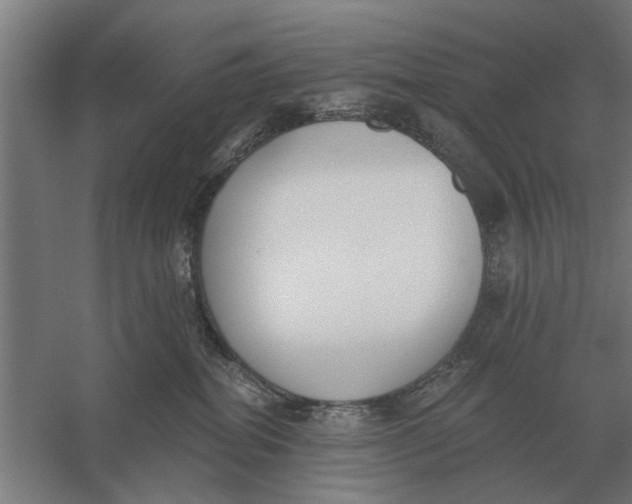 X0000056360282200509232139