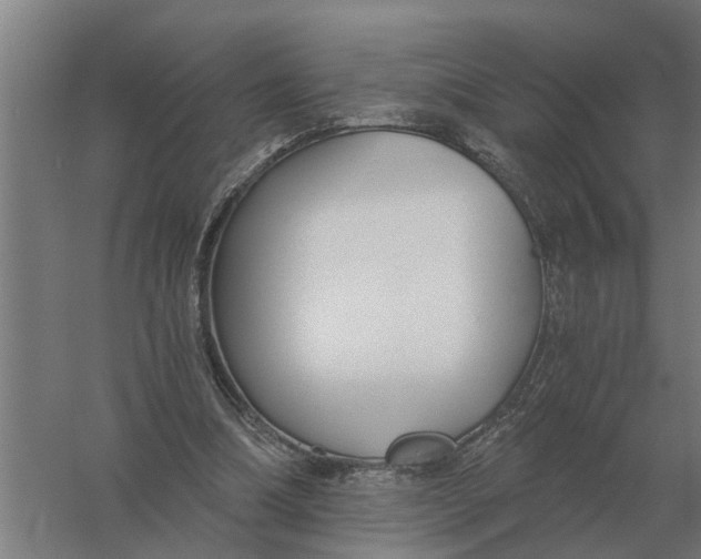 X0000056360298200509232139